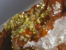 graulichite -(Ce)-photo & coll JDV